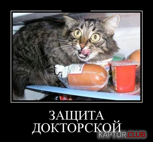demotivatory_01.jpg | Рено Каптур Клуб Россия | Форум KAPTUR.SU