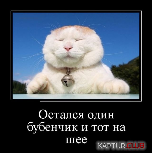 demotivatory_01.jpg | Рено Каптур Клуб Россия | Форум KAPTUR.SU