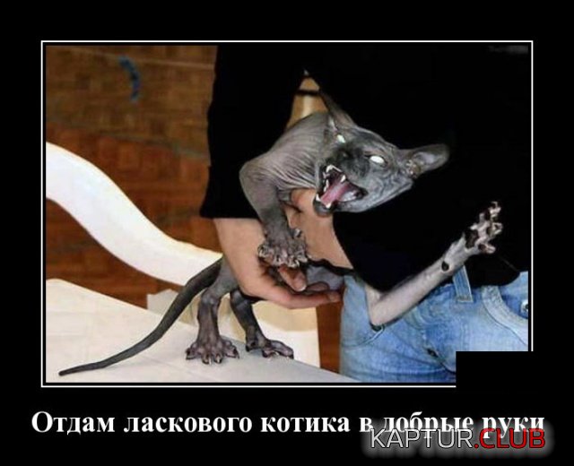 demotivatory_01.jpg | Рено Каптур Клуб Россия | Форум KAPTUR.SU