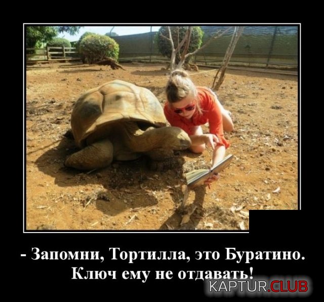 demotivatory_01.jpg | Рено Каптур Клуб Россия | Форум KAPTUR.SU