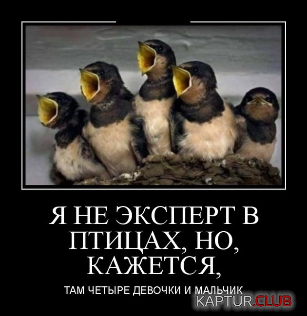 demotivatory_01.jpg | Рено Каптур Клуб Россия | Форум KAPTUR.SU