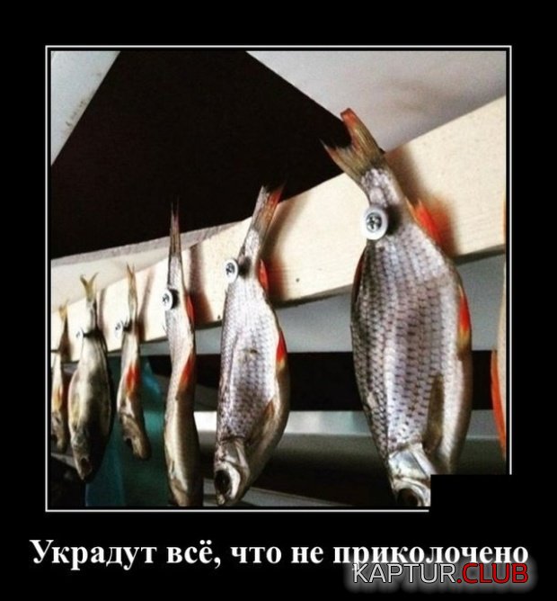 demotivatory_01.jpg | Рено Каптур Клуб Россия | Форум KAPTUR.SU