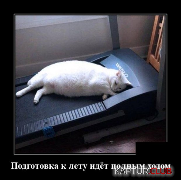 demotivatory_01.jpg | Рено Каптур Клуб Россия | Форум KAPTUR.SU