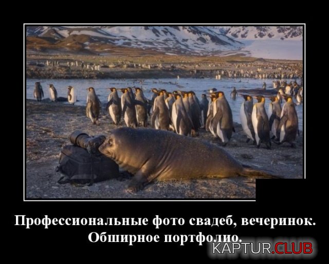 demotivatory_01.jpg | Рено Каптур Клуб Россия | Форум KAPTUR.SU