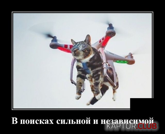 demotivatory_01.jpg | Рено Каптур Клуб Россия | Форум KAPTUR.SU