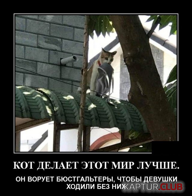 demotivatory_01.jpg | Рено Каптур Клуб Россия | Форум KAPTUR.SU