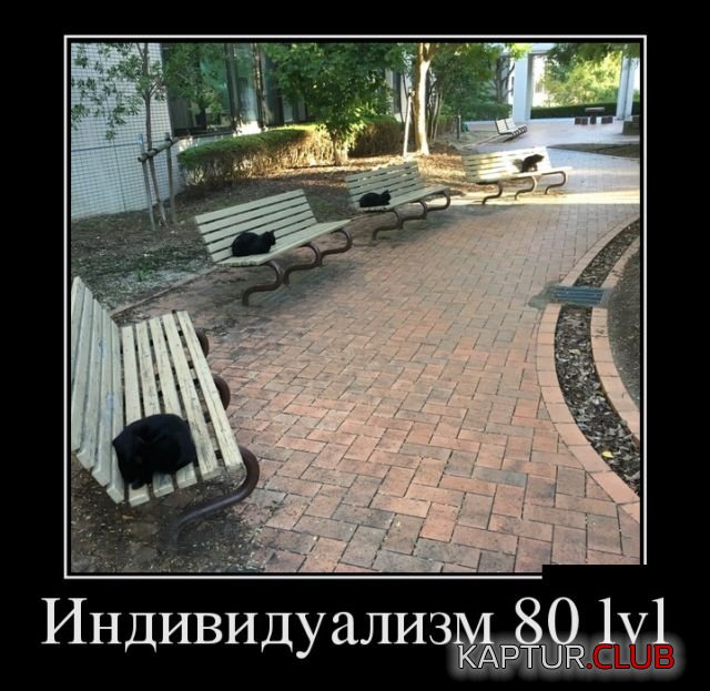 demotivatory_02.jpg | Рено Каптур Клуб Россия | Форум KAPTUR.SU