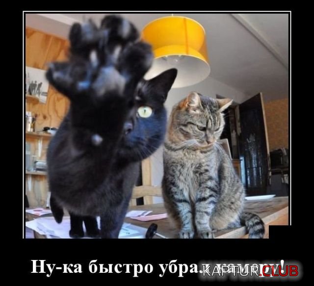 demotivatory_02.jpg | Рено Каптур Клуб Россия | Форум KAPTUR.SU
