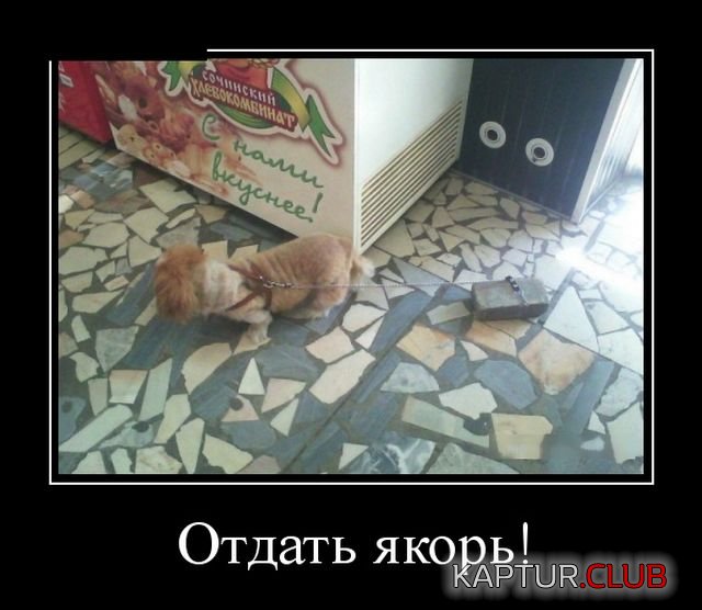 demotivatory_02.jpg | Рено Каптур Клуб Россия | Форум KAPTUR.SU