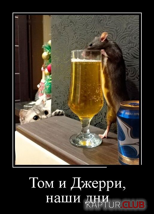 demotivatory_02.jpg | Рено Каптур Клуб Россия | Форум KAPTUR.SU