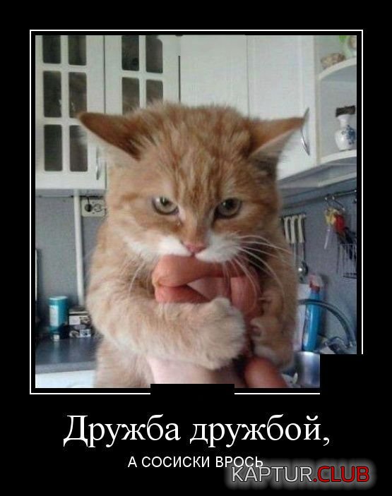 demotivatory_02.jpg | Рено Каптур Клуб Россия | Форум KAPTUR.SU