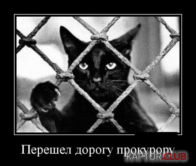 demotivatory_02.jpg | Рено Каптур Клуб Россия | Форум KAPTUR.SU