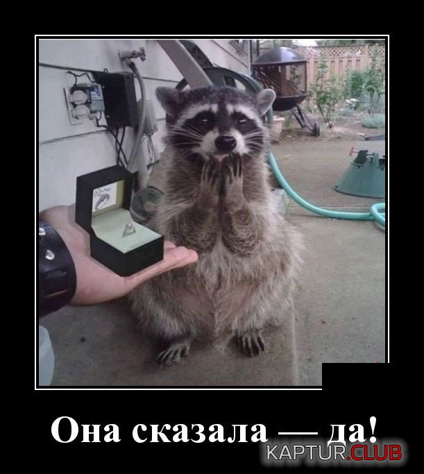 demotivatory_02.jpg | Рено Каптур Клуб Россия | Форум KAPTUR.SU