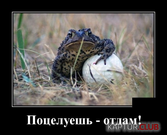 demotivatory_02.jpg | Рено Каптур Клуб Россия | Форум KAPTUR.SU