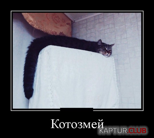 demotivatory_02.jpg | Рено Каптур Клуб Россия | Форум KAPTUR.SU