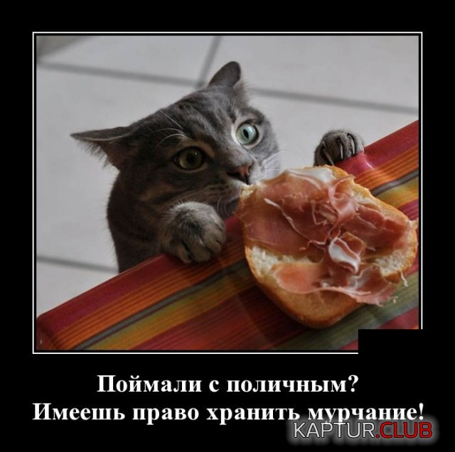 demotivatory_02.jpg | Рено Каптур Клуб Россия | Форум KAPTUR.SU