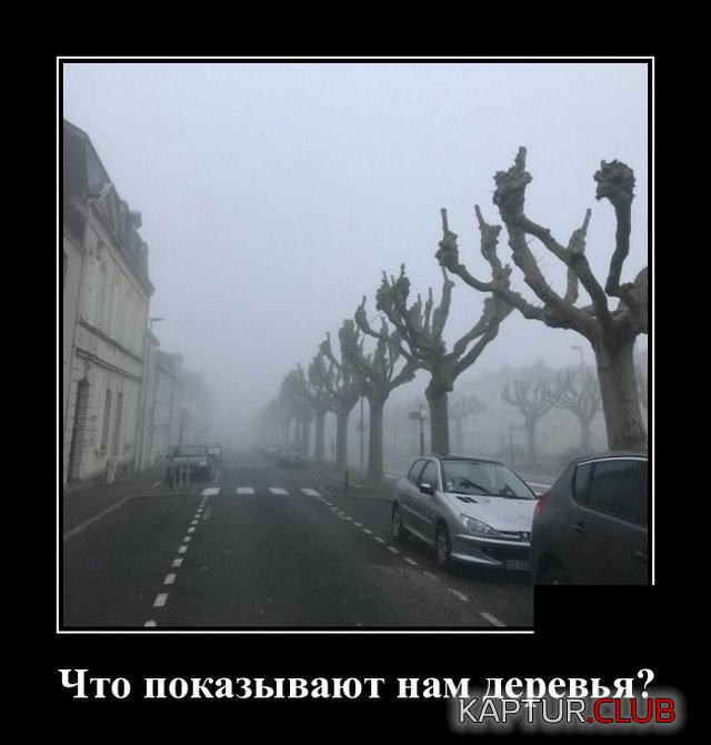 demotivatory_02.jpg | Рено Каптур Клуб Россия | Форум KAPTUR.SU