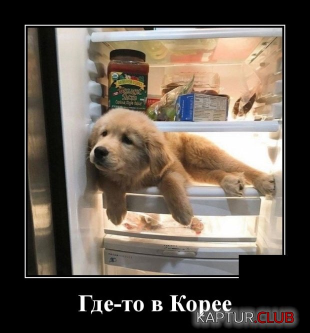 demotivatory_02.jpg | Рено Каптур Клуб Россия | Форум KAPTUR.SU