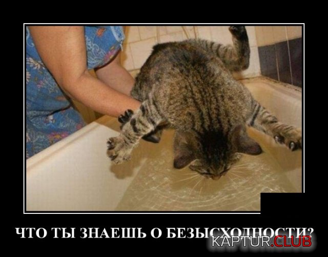 demotivatory_02.jpg | Рено Каптур Клуб Россия | Форум KAPTUR.SU