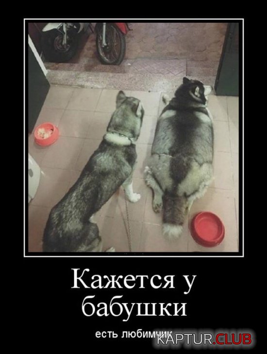 demotivatory_02.jpg | Рено Каптур Клуб Россия | Форум KAPTUR.SU
