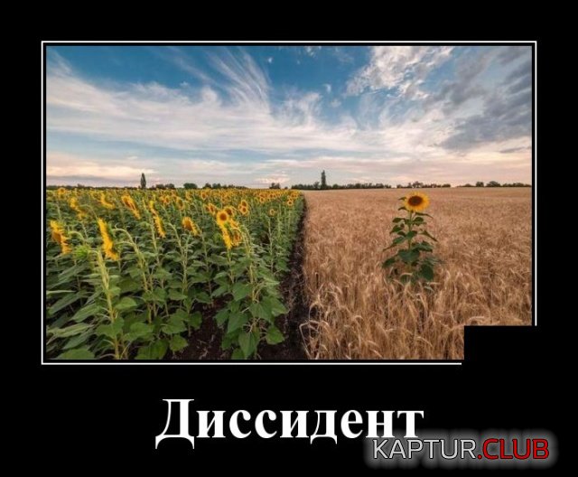 demotivatory_02.jpg | Рено Каптур Клуб Россия | Форум KAPTUR.SU