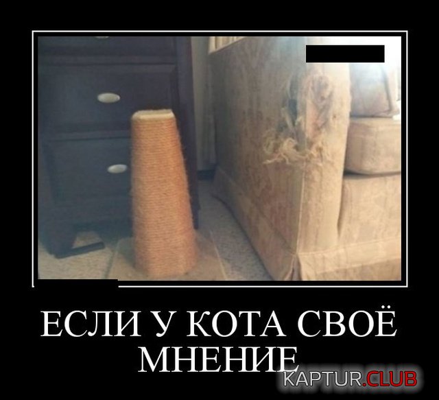 demotivatory_02.jpg | Рено Каптур Клуб Россия | Форум KAPTUR.SU