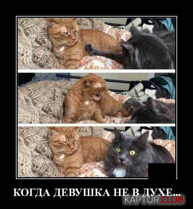 demotivatory_02.jpg | Рено Каптур Клуб Россия | Форум KAPTUR.SU