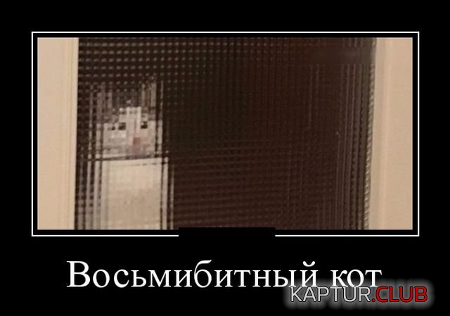 demotivatory_03.jpg | Рено Каптур Клуб Россия | Форум KAPTUR.SU