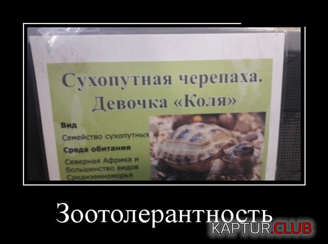 demotivatory_03.jpg | Рено Каптур Клуб Россия | Форум KAPTUR.SU