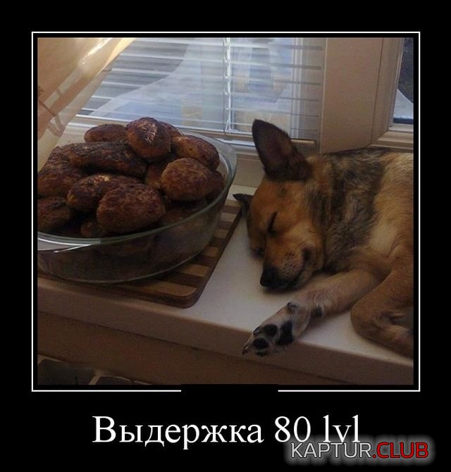 demotivatory_03.jpg | Рено Каптур Клуб Россия | Форум KAPTUR.SU