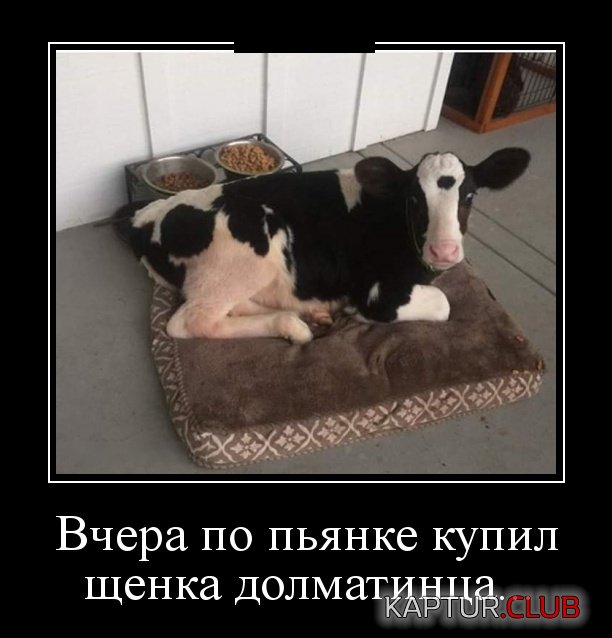 demotivatory_03.jpg | Рено Каптур Клуб Россия | Форум KAPTUR.SU