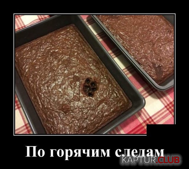 demotivatory_03.jpg | Рено Каптур Клуб Россия | Форум KAPTUR.SU