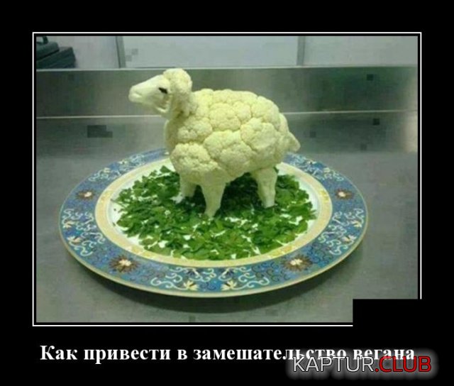 demotivatory_03.jpg | Рено Каптур Клуб Россия | Форум KAPTUR.SU