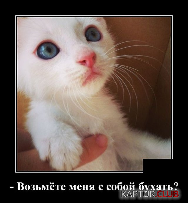 demotivatory_03.jpg | Рено Каптур Клуб Россия | Форум KAPTUR.SU