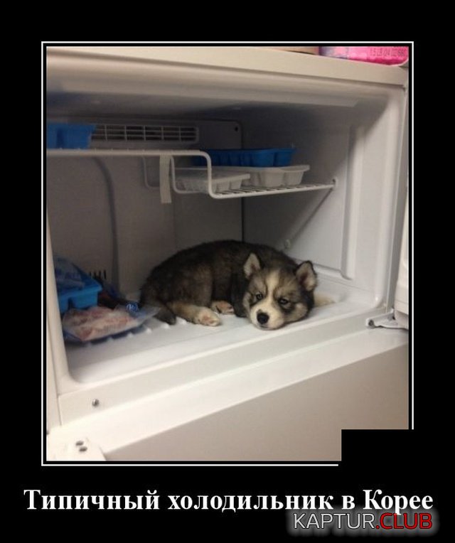 demotivatory_03.jpg | Рено Каптур Клуб Россия | Форум KAPTUR.SU