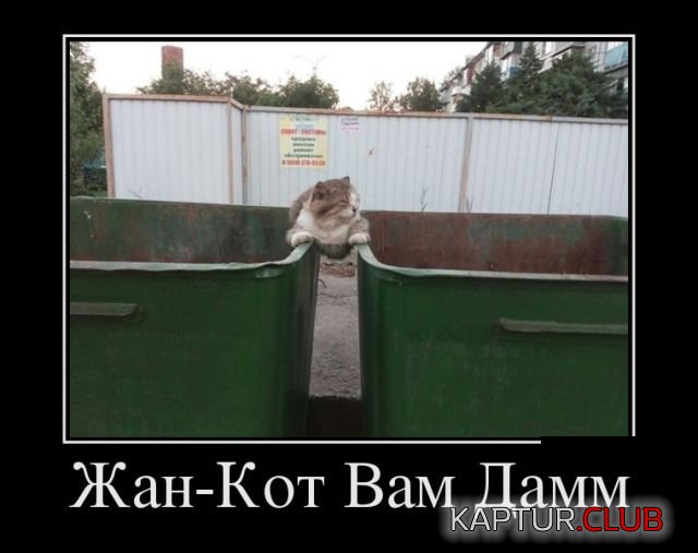demotivatory_04.jpg | Рено Каптур Клуб Россия | Форум KAPTUR.SU