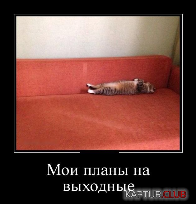demotivatory_04.jpg | Рено Каптур Клуб Россия | Форум KAPTUR.SU