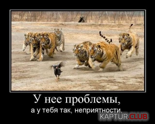 demotivatory_04.jpg | Рено Каптур Клуб Россия | Форум KAPTUR.SU