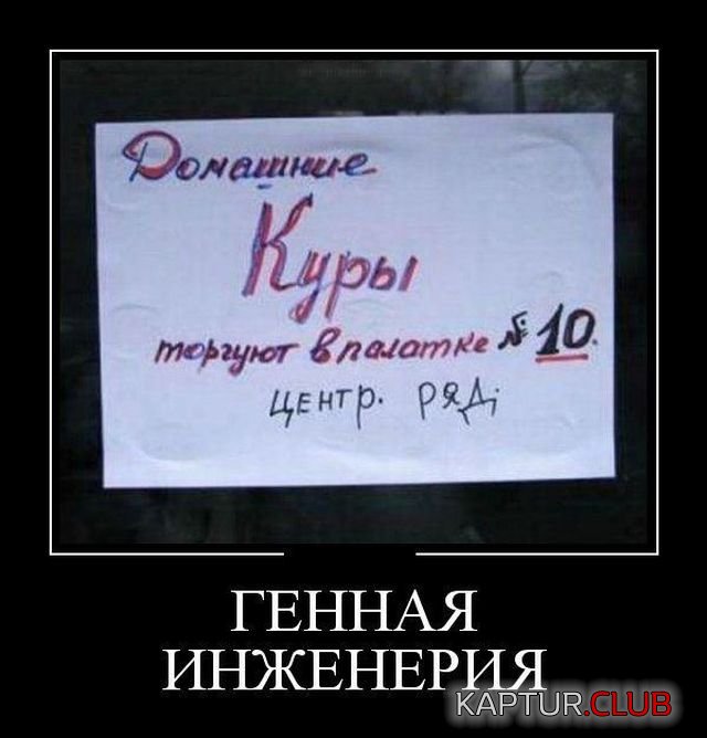 demotivatory_04.jpg | Рено Каптур Клуб Россия | Форум KAPTUR.SU