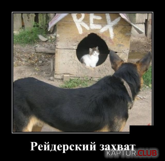 demotivatory_04.jpg | Рено Каптур Клуб Россия | Форум KAPTUR.SU