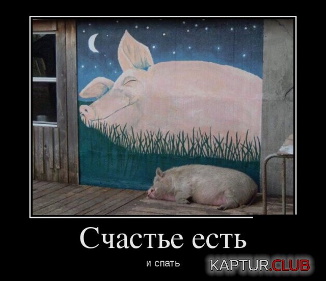 demotivatory_04.jpg | Рено Каптур Клуб Россия | Форум KAPTUR.SU