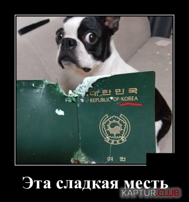 demotivatory_04.jpg | Рено Каптур Клуб Россия | Форум KAPTUR.SU