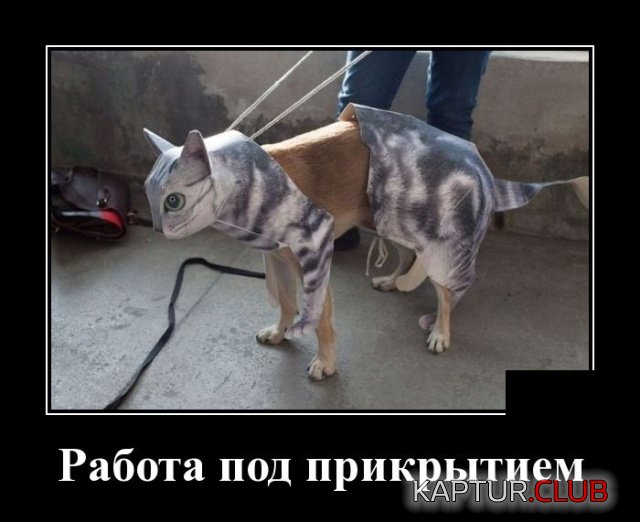 demotivatory_04.jpg | Рено Каптур Клуб Россия | Форум KAPTUR.SU