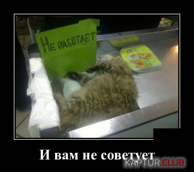 demotivatory_04.jpg | Рено Каптур Клуб Россия | Форум KAPTUR.SU