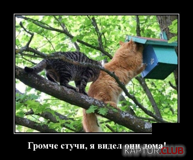 demotivatory_04.jpg | Рено Каптур Клуб Россия | Форум KAPTUR.SU