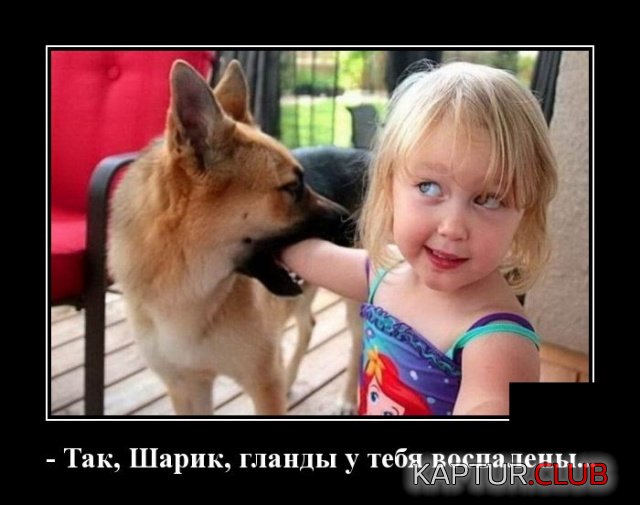 demotivatory_04.jpg | Рено Каптур Клуб Россия | Форум KAPTUR.SU