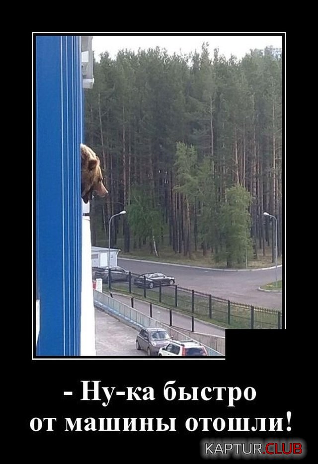 demotivatory_04.jpg | Рено Каптур Клуб Россия | Форум KAPTUR.SU
