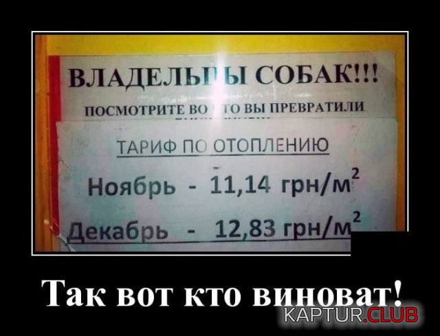 demotivatory_04.jpg | Рено Каптур Клуб Россия | Форум KAPTUR.SU