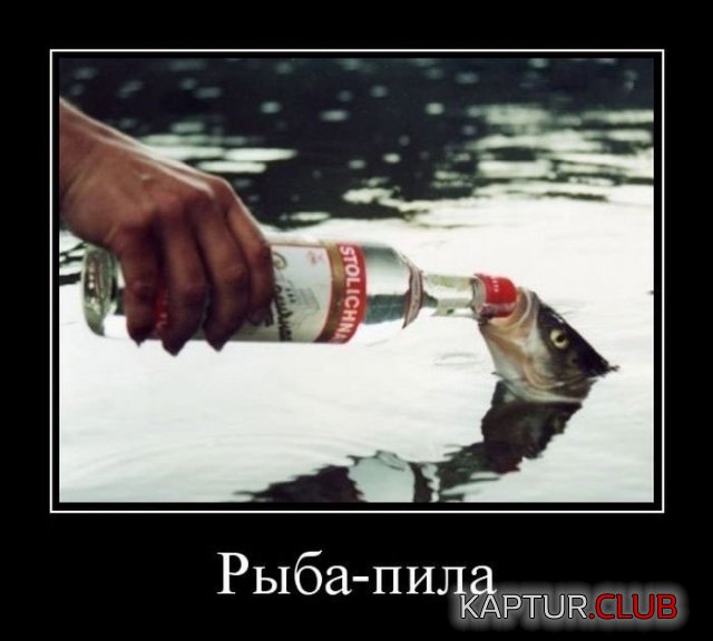 demotivatory_04.jpg | Рено Каптур Клуб Россия | Форум KAPTUR.SU