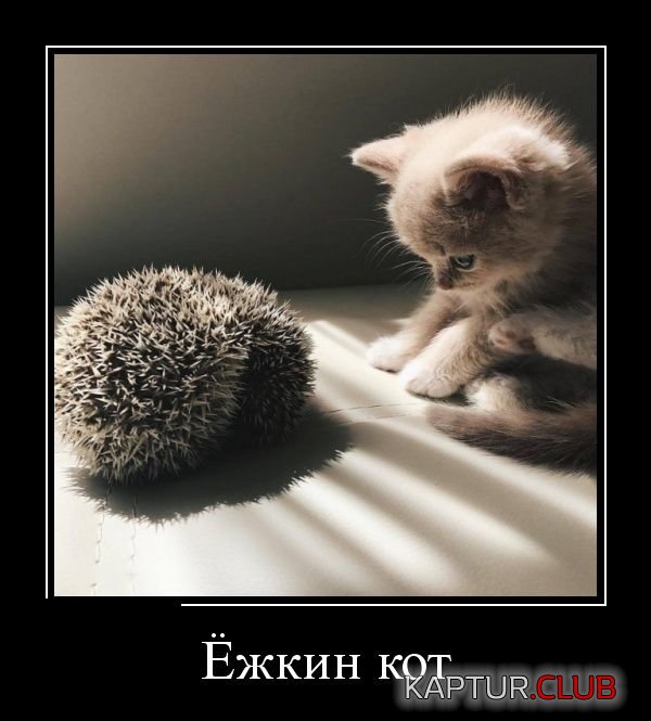 demotivatory_05.jpg | Рено Каптур Клуб Россия | Форум KAPTUR.SU